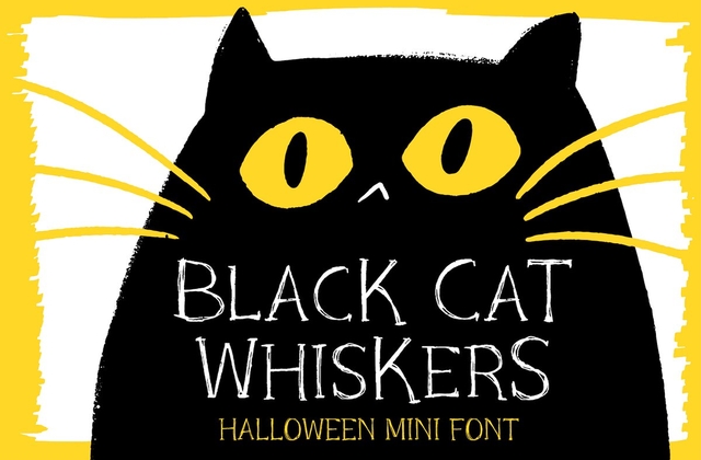 Black Cat Whiskers Font preview